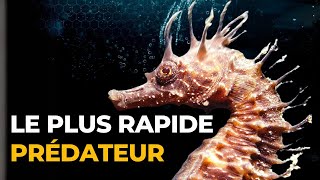 LES mystères intrigants de l’ADN de SEAHORSE la biologie vient de le révéler [upl. by Pomcroy]