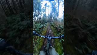 Fast TechFlow emtb insta360 mtb mtblife viral dhmtb [upl. by Arevle]