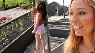 NEW Garden Combo with Herbs Flowers amp Vegetables using Plants amp Seeds  Raised Beds Part 2 May 18 [upl. by Setiram632]