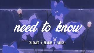 doja cat  need to know slowed  reverb  lyrics [upl. by Macguiness]