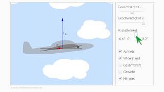 Physik des Fliegens – einfach erklärt [upl. by Eimaraj]