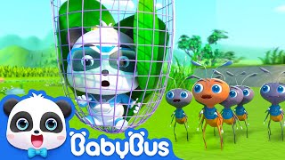 Baby Panda is Trapped  Super Panda Rescue Team  Kids Cartoon  BabyBus [upl. by Leziar]