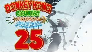 DONKEY KONG COUNTRY TROPICAL FREEZE 🍌 25 Super Paper Mario Schneeflocken [upl. by Susie]