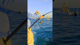 3 Ways to Catch Tarpon Fishing Gear Tampa Florida Beach Bridge and Pass Fishing for Silver Kings [upl. by Adlen]