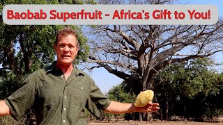 Baobab Superfruit  Africas Gift to You [upl. by Alroy]