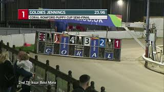 2021 ROMFORD PUPPY CUP  1ST SEMI T1 GOLDIES JENNINGS [upl. by Hartzke]