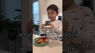 Last 10 min got cut off but go to my TikTok ✨whatmytoddlereats toddlermeals [upl. by Certie]