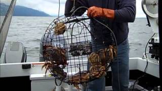 2011 Puget Sound Crabbing 101 [upl. by Lubet600]