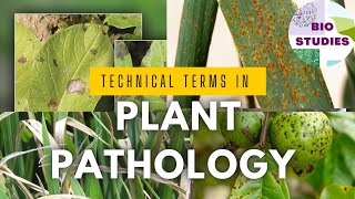 Technical Terms In Plant Pathology plantpathology botany plantscience biostudies [upl. by Dloraj]