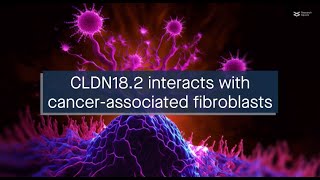 CLDN182 exacerbates gastric cancer by helping cancer cells stick to their surroundings [upl. by Minier]