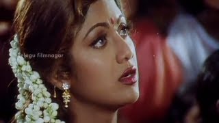 Sahasa Veerudu Sagara Kanya Scenes  Shilpa Shetty warned by a witch  Venkatesh [upl. by Neri]