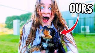 SURPRISING HER WITH THE BEST PUPPY BREED FOR KIDS emotional wNorris Nuts [upl. by Kirch891]