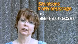 Lorraine Boucher 36  Questce quune situation dapprentissage [upl. by Yelrahs838]