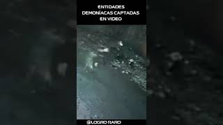 Entidades demoníacas captadas en video demonios paranormal extraño [upl. by Harneen602]