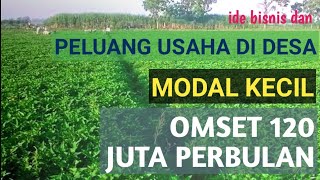 IDE BISNIS DAN PELUANG USAHA DI DESA MODAL KECIL TAPI BISA OMSET 120 JUTA PERBULAN [upl. by Aitsirhc]