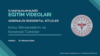 Adrenalin Insidental KitlelerNöroendokrin ve Korsinoid Tümörler [upl. by Phyllys]