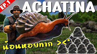 Achatina น้อนหอยตั้ลลัก  จับสัตว์ AZ The series 1 [upl. by Sabu]