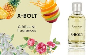 PERFUMES  XBOLT GBELLINI  Qual Equivalência   Perfumes do Lidl [upl. by Meeks]