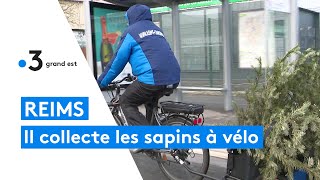 Reims  ce coursier ramasse les sapins de Noël à vélo [upl. by Encrata]