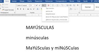 cambiar texto de mayuscula a minuscula en Word [upl. by Westerfield778]