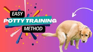 How to potty train a puppy  Easy Potty Training [upl. by Plate]