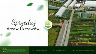 Szkółka roślin Szkółka drzew i krzewów ozdobnych Kędzierz [upl. by Yenaiv]