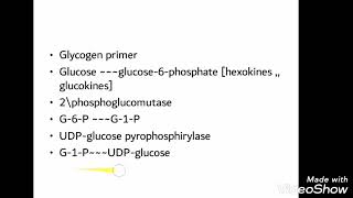 Biochemistry glycogen metabolism 🔥 شرح سهل ومبسط وجميل [upl. by Kelsey563]