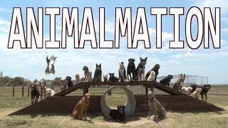 ANIMALMATION Stop Motion using 26 dogs and a cat [upl. by Ailima]