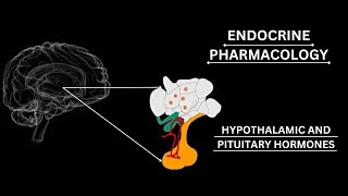 ENDOCRINE PHARMACOLOGY Adrenocorticotropic Hormone ACTH pharmacology katzung lippincott [upl. by Yhprum177]