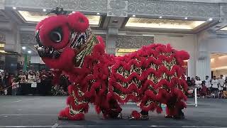 Barongsai Competition  Nagata Naga Api Yogyakarta jogjacitymall [upl. by Llehcam191]