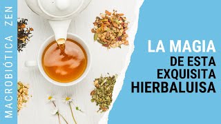 Hierba Luisa 🌿 RELAJANTE y DIGESTIVA  Propiedades y Beneficios [upl. by Ednutey]