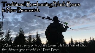 Traditional Bowhunting Black Bear in New Brunswick [upl. by Enelyaj358]