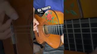 Ilia Topuria UFC guitar desperado Cancion del mariachi ilia iliatopuria ufc mma desperado [upl. by Zinck]