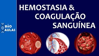 Hemostasia e Coagulação Sanguínea Atuação das Plaquetas e a Cascata de Coagulação [upl. by Stoecker]