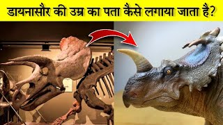 Dinasour की उम्र का पता कैसे लगाते हैं😱  shorts greatfacts facts dinasour [upl. by Siletotsira586]