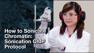 How to sonicate chromatin Sonication ChIP Protocol  CST Tech Tips [upl. by Stuart]