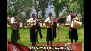 LOS CANTORES DEL SALADILLO en el programa RAICES SALTEÑAS [upl. by Lleon32]