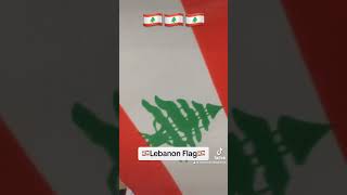 Lebanon Flag Unboxing [upl. by Ophelia]