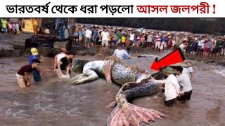 জলপরী কি সত্যি এই দুনিয়াতে আছে   Is There a Real Mermaid in The World  Mermaids   ছায়াপথ [upl. by Sev167]