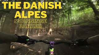 The Danish Alpes MTB Crash  Svanninge Bakker DK [upl. by Aydiv]