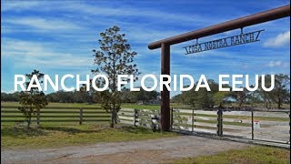 Rancho Ganadero en Venta en Florida EEUU  233 Hectáreas  FLAVIPcom [upl. by Wemolohtrab50]