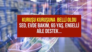 Aile Destek Evde Bakım 65 Yaş SED Ödemesi Engelli Maaşı 2024 Zammı Kuruşu Kuruşuna Belli Oldu [upl. by Conrado]