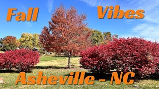 Happy jazz for autumn vibes in Asheville NC  Beaver Lake [upl. by Dayiz]