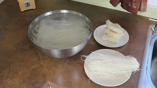 Two Foolproof Methods for Perfect Rice Vermicelli andor pho noodles with Thuy Hang [upl. by Rothberg765]