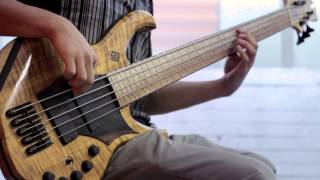 Brought By Pain  Guided By Fear Bass Playthrough [upl. by Allisirp]