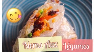 RECETTE DE NEMS AUX LEGUMES [upl. by Ydnerb871]