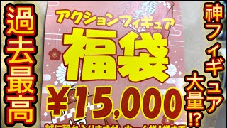 【2024年】秋葉原で購入した15000円の可動フィギュア福袋開封したら中身がヤバすぎた [upl. by Reece437]