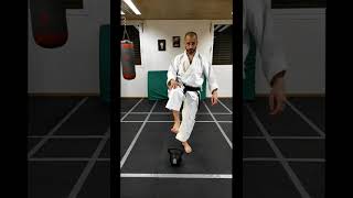 PATADA de KARATE MAE GERI con PESA RUSA KETTLEBELL short [upl. by Annohsat]