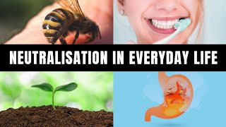 Neutralization in everyday life  Indigestion Ant sting tooth decay  NCERT [upl. by Davenport]