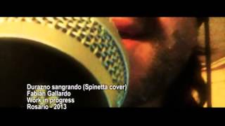 Fabian Gallardo  Durazno sangrando Spinetta cover [upl. by Benilda]